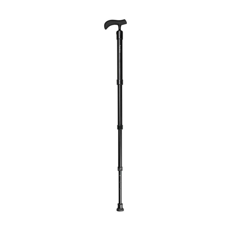 e-Ability Cane