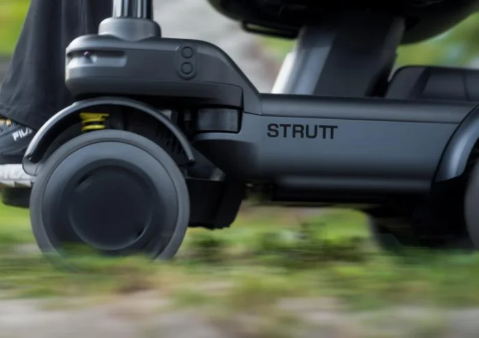 Strutt ev¹c - foto 4